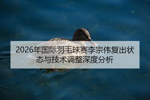 2026年国际羽毛球赛李宗伟复出状态与技术调整深度分析
