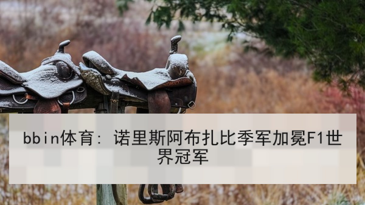 bbin体育: 诺里斯阿布扎比季军加冕F1世界冠军